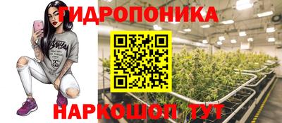 PSILOCYBIN Новозыбков