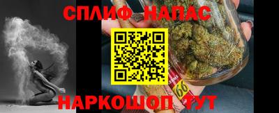 PSILOCYBIN Новозыбков