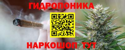 каннабис Новодвинск
