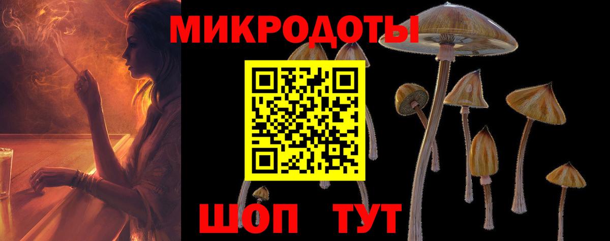 Псилоцибиновые грибы GOLDEN TEACHER  Вход с VPN  Оренбург 
